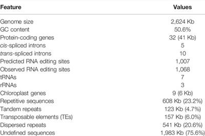 Repetitive Elements, Sequence Turnover and Cyto-Nuclear Gene Transfer in Gymnosperm Mitogenomes